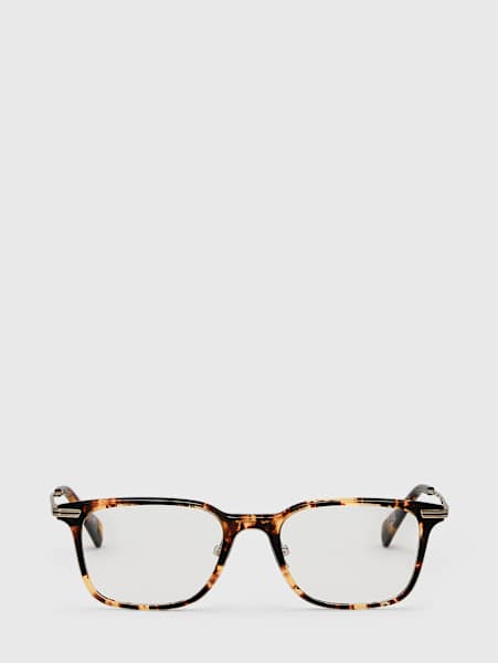 BRIGGS OPTICAL