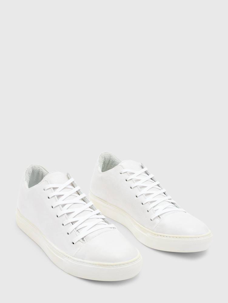 REED LOW TOP SNEAKER