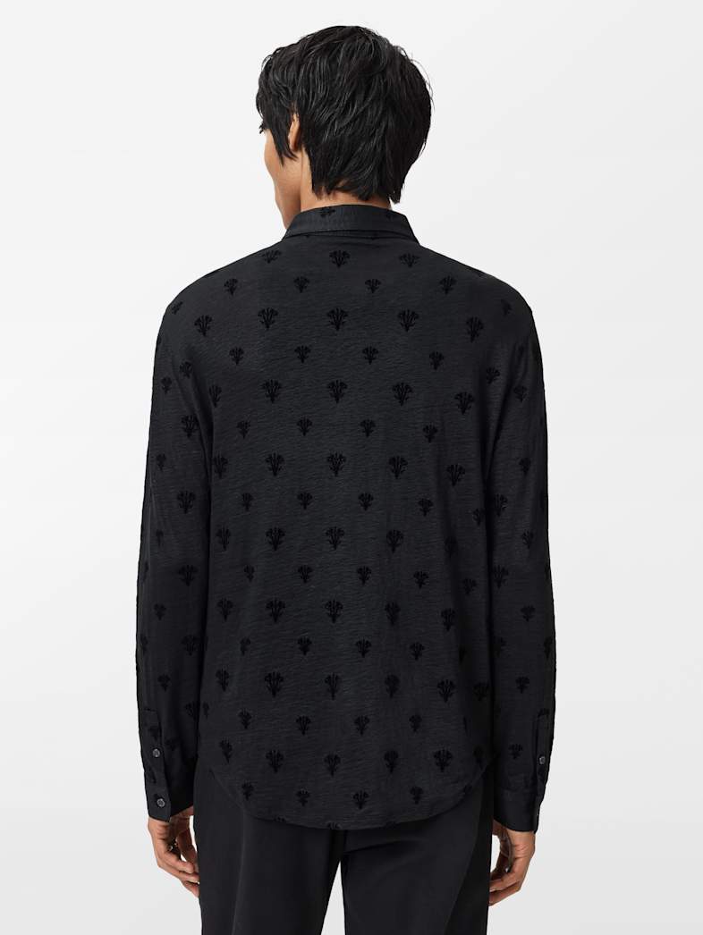 undefined image number 6