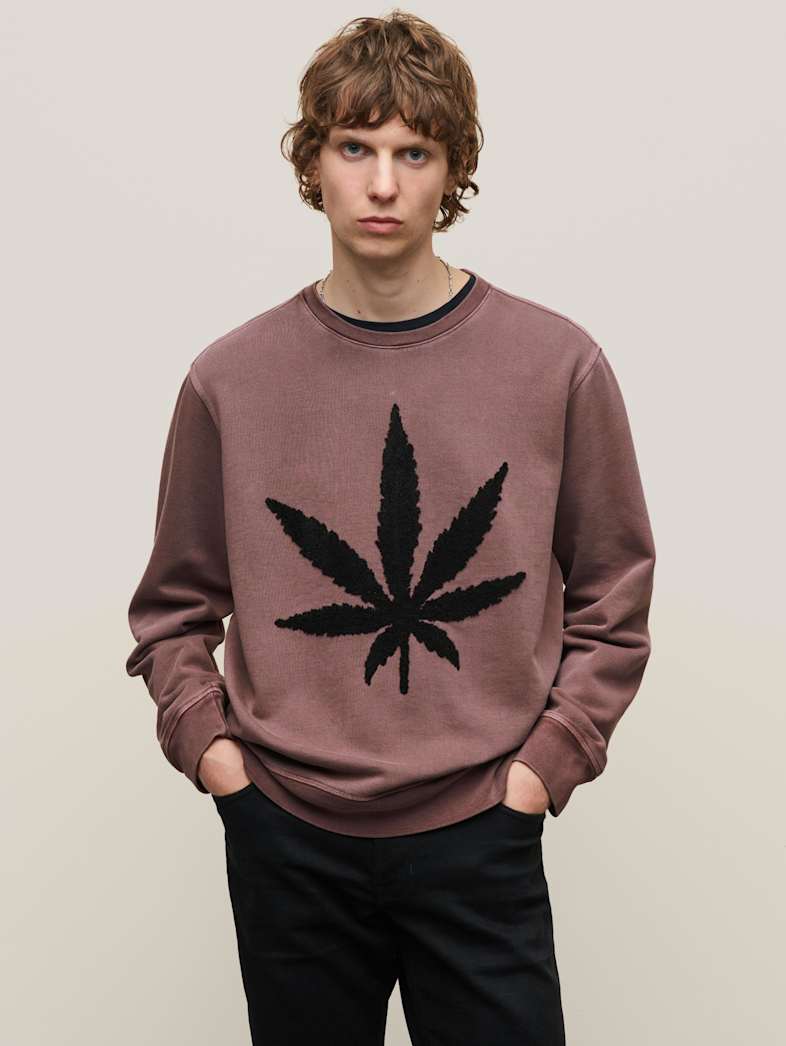undefined image number 1
