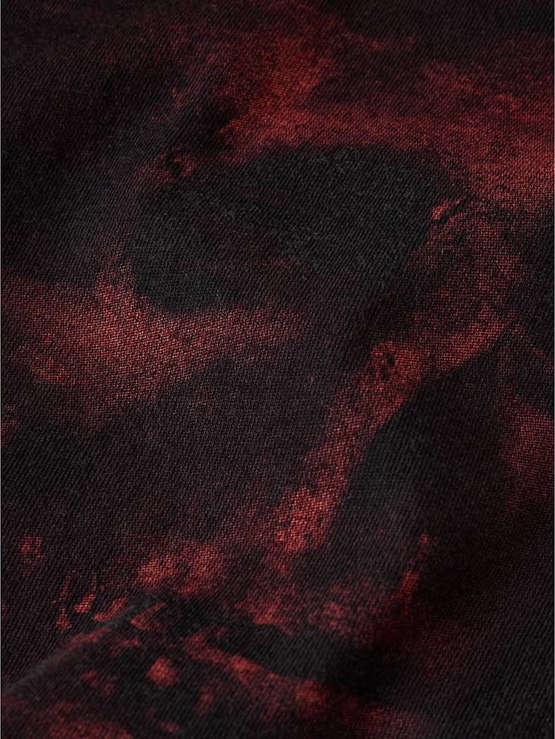 undefined image number 8