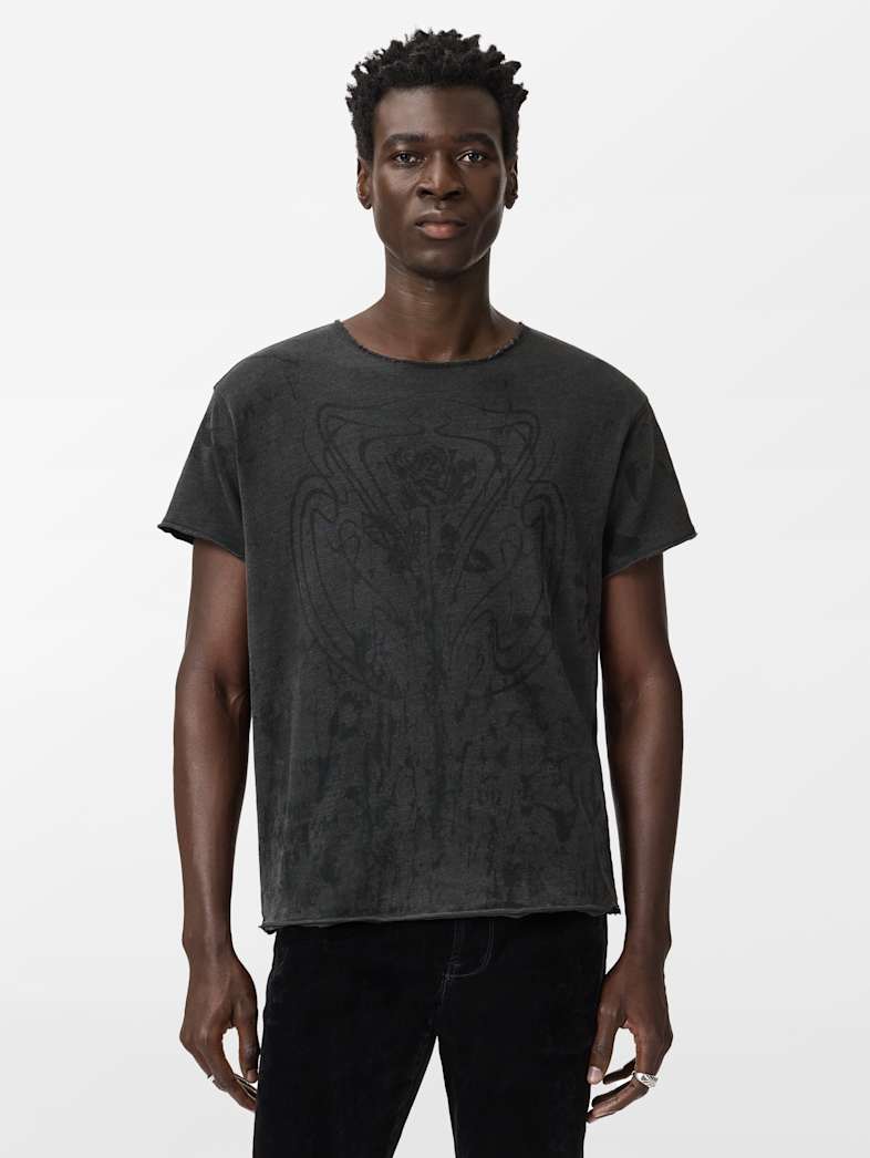 undefined image number 7