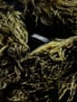 undefined image number 8