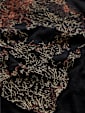 undefined image number 7