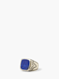 undefined image number 1