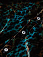 undefined image number 6